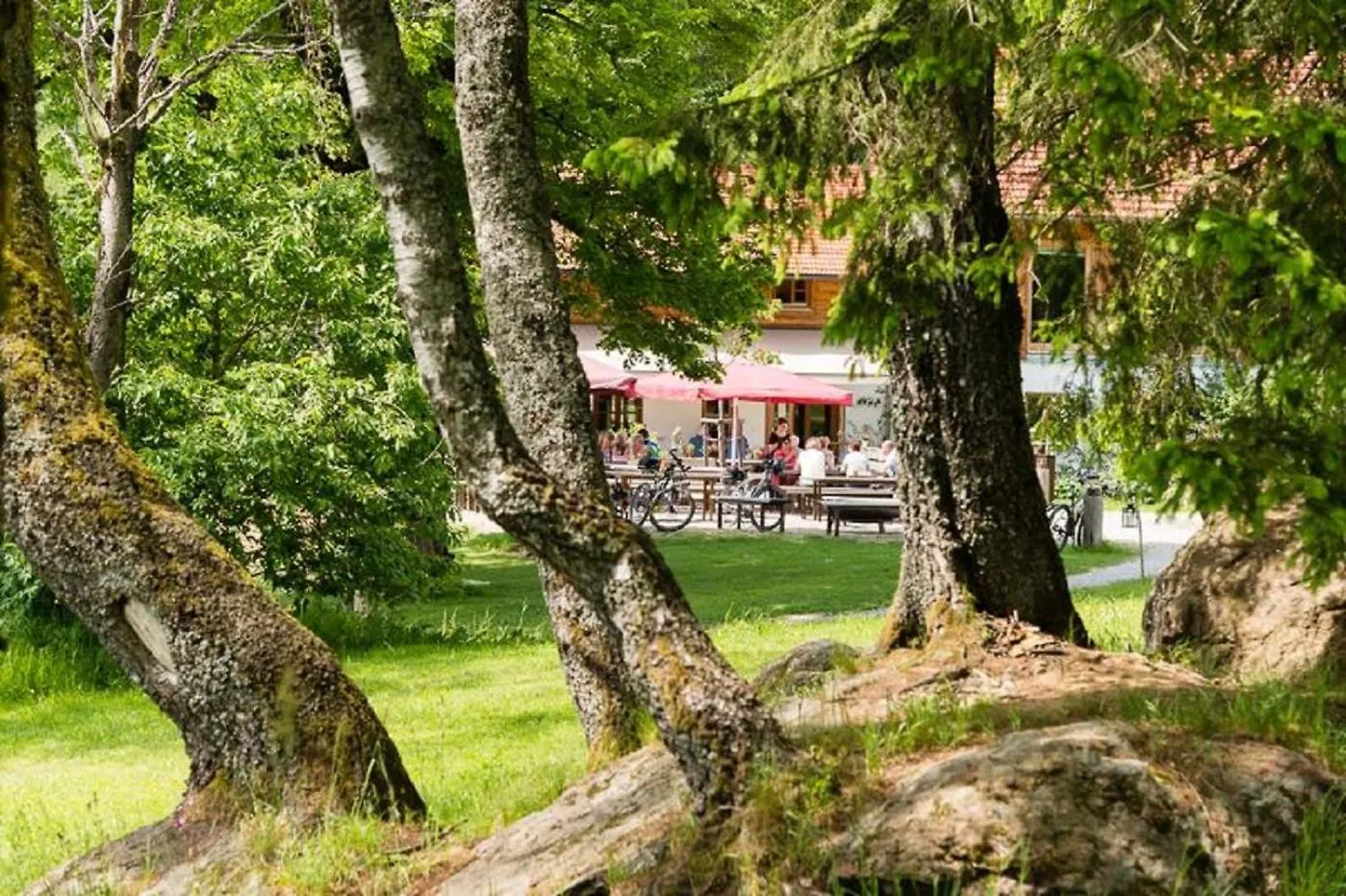 Gutsalm Harlachberg Bodenmais Appartement