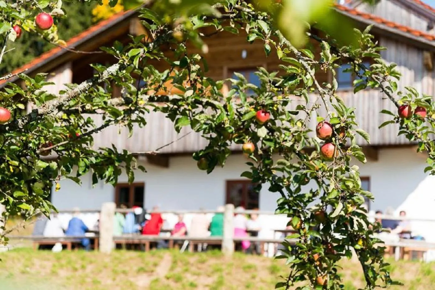 Gutsalm Harlachberg Bodenmais Appartement