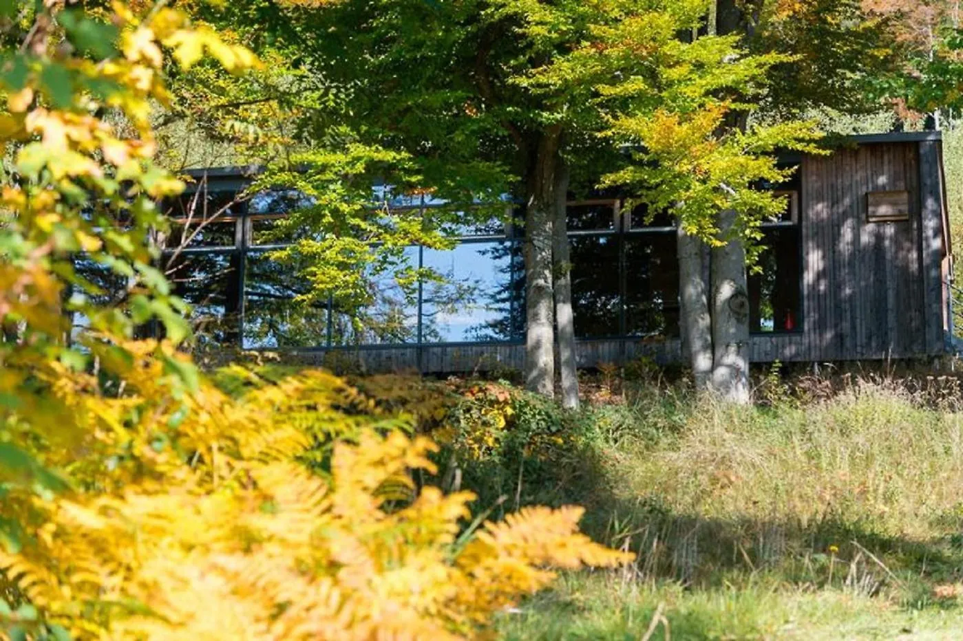 Gutsalm Harlachberg Bodenmais Appartement
